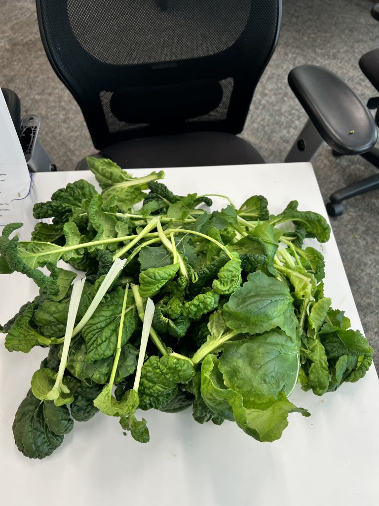 pile of green veggie
