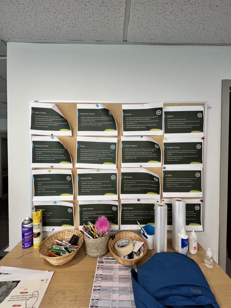 list of planted veggies